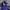 Sportswear Casual Windbreaker Pria blue photo 5