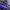 Sportswear Casual Windbreaker Pria blue photo 4