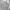 C.P. Company Streetwear Casual Sweatshirt Pria gray photo 1