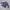 Streetwear Minimalist Blazer Wanita purple photo 8