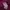 Sportswear Minimalist Track jacket Wanita pink photo 8