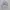 Minimalist Hoody Pria gray photo 1