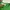 GANNI Y2K Luxury Sweatshirt Wanita green photo 6