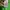 GANNI Y2K Luxury Sweatshirt Wanita green photo 8