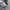Minimalist Hoody Pria gray photo 5