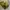 ZARA Luxury Heels Wanita yellow photo 2