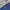 Japanese brand Gorpcore Pria navy photo 4
