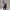 Japanese brand Gorpcore Pria navy photo 2