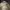 Fear of God ESSENTIALS Luxury Casual Sweatshirt Pria cream photo 6