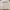 Fear of God ESSENTIALS Luxury Casual Sweatshirt Pria cream photo 1