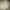 Fear of God ESSENTIALS Luxury Casual Sweatshirt Pria cream photo 7