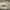 Fear of God ESSENTIALS Luxury Casual Sweatshirt Pria cream photo 4