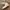 Nike Streetwear Luxury Sneakers Pria white green photo 1