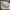 Nike Streetwear Luxury Sneakers Pria white green photo 2