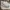 Nike Streetwear Luxury Sneakers Pria White Green