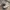 New Balance Streetwear Sneakers Pria white gray photo 1
