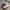 New Balance Streetwear Sneakers Pria White Gray