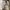 New Balance Streetwear Sneakers Pria white gray photo 2