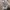 New Balance Streetwear Sneakers Pria white gray photo 5