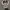 VANS Streetwear Sweatshirt Pria gray photo 3