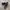 VANS Vintage Skater Sneakers Pria Black