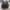 VANS Vintage Skater Sneakers Pria black photo 2