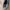 VANS Vintage Skater Sneakers Pria black photo 4