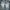 Adidas Streetwear Casual Sneakers Pria white gray photo 2