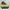 Converse Streetwear Casual Sneakers Pria multicolor photo 1