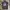Nike Streetwear Y2K Jersey Pria brown photo 2