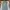 Adidas Vintage Leather jacket Pria gray photo 2