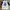 Nike Streetwear Y2K Jersey Pria white navy photo 2