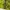 Grunge Fairy Blouse Wanita green photo 6