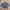 ZARA Vintage Streetwear Sweatshirt Pria gray photo 2