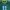 Nike Streetwear Y2K Jersey Pria green yellow photo 2