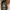 Stussy Gorpcore Skater Hat Pria black photo 2