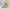 Converse Streetwear Casual Sneakers Pria Yellow