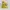 Converse Streetwear Casual Sneakers Pria yellow photo 4