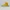Converse Streetwear Casual Sneakers Pria yellow photo 1