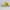 Converse Streetwear Casual Sneakers Pria Yellow