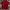 Casual Polo shirt Pria red photo 1