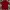 Casual Polo shirt Pria red photo 2