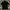 Zegna Casual Polo shirt Pria black photo 2