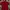 Fred Perry Casual Polo shirt Pria red photo 1