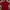 Fred Perry Casual Polo Shirt Pria Red