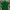 Lacoste Casual Polo shirt Pria green photo 2