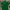 Lacoste Casual Polo shirt Pria green photo 1