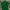 Lacoste Casual Polo Shirt Pria Green