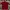 Giordano Casual Polo Shirt Pria Red