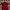 Giordano Casual Polo shirt Pria red photo 2